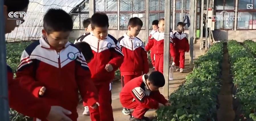 公益慢火车串起“采摘+旅游+赶集”消费链 见证乡村振兴与民生温度的双向奔赴