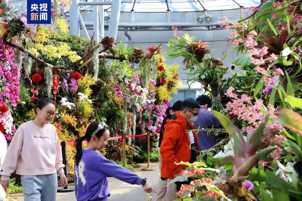 北京各大公园年味十足 游园热持续高涨