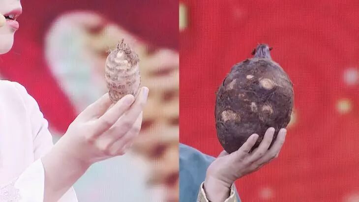 防三高，少吃肉？专家带来食肉攻略：降脂护心益处多