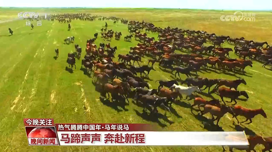 【热气腾腾中国年·马年说马】马蹄声声 奔赴新程