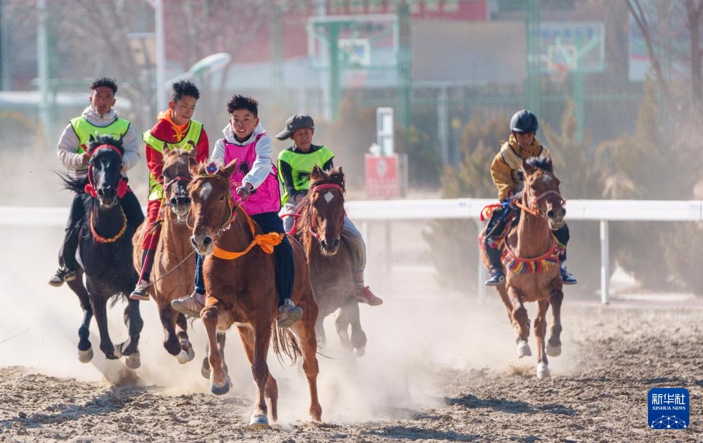 西藏:马年新春 马上过年 西藏:马年新春 马上过年