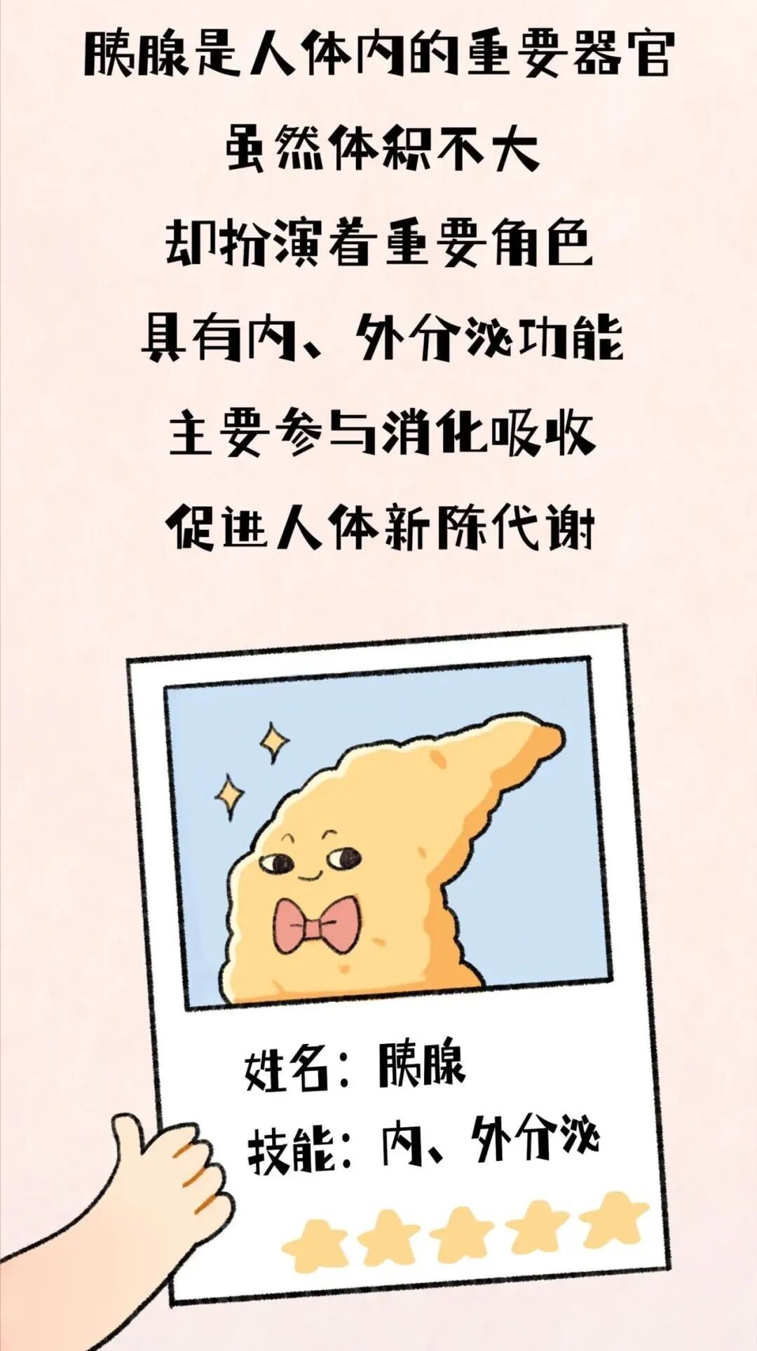 听劝！千万别再这样吃了，真的会把你的胰腺“搞垮”