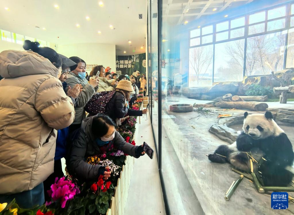 乌鲁木齐水上乐园大熊猫馆试运营 乌鲁木齐水上乐园大熊猫馆试运营