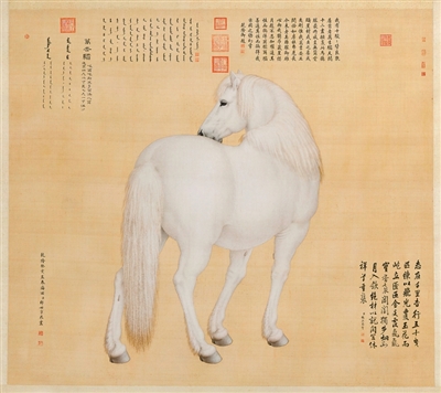 文物中的马文化 文物中的马文化