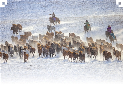 这些马上运动，让人热血沸腾！