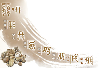 从贝币两串到志同道合,“朋”字的演变你了解吗? 从贝币两串到志同道合,“朋”字的演变你了解吗?