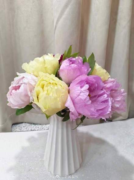 央视春晚十二花神中为何没牡丹，而是芍药？