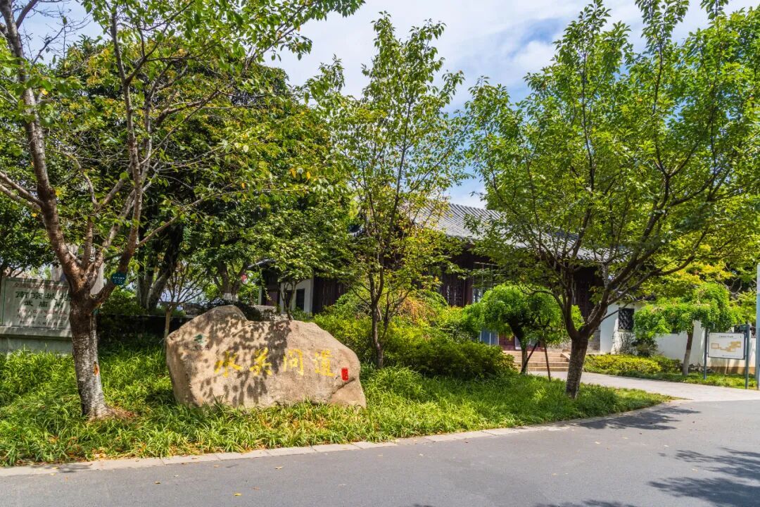 玄武湖这几棵树被人“盯”上了！