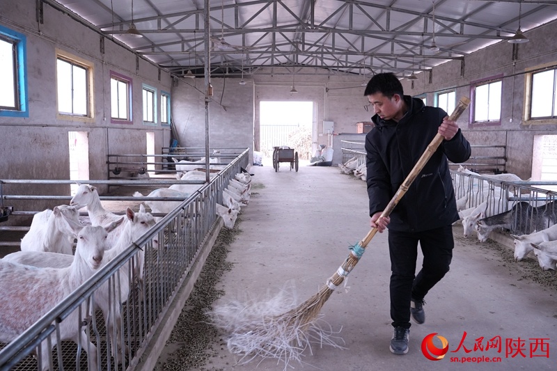 羊儿“咩咩咩”，钱包“鼓鼓鼓”