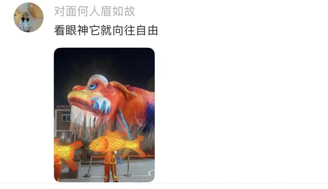 意外被大风吹走，全网都在帮济南“找鳌鱼”！