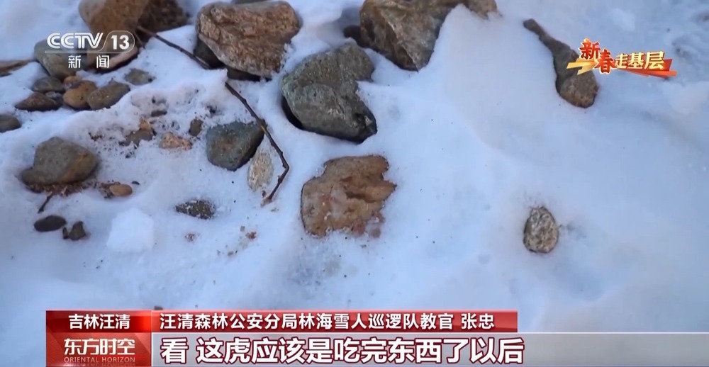 年轻民警化身“林海雪人” 在把面包变“雪糕”的极寒中守护生态安全