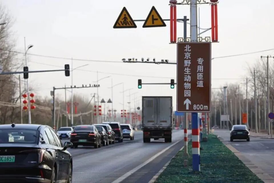 北京野生动物园新匝道桥投入运行，疏堵保畅成效初显