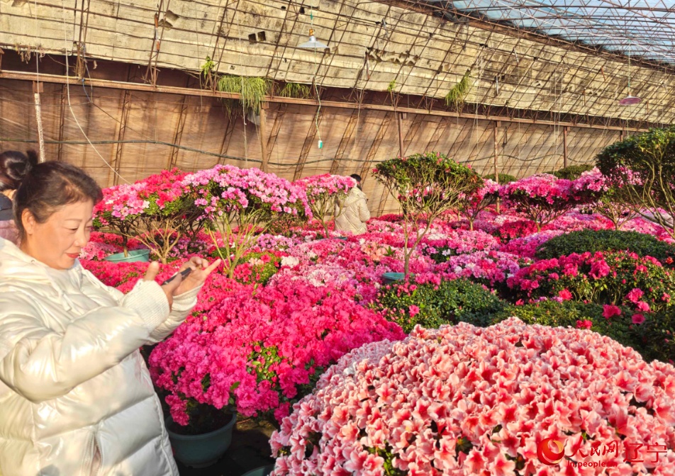 冬日花海,别样“红”! 冬日花海,别样“红”!