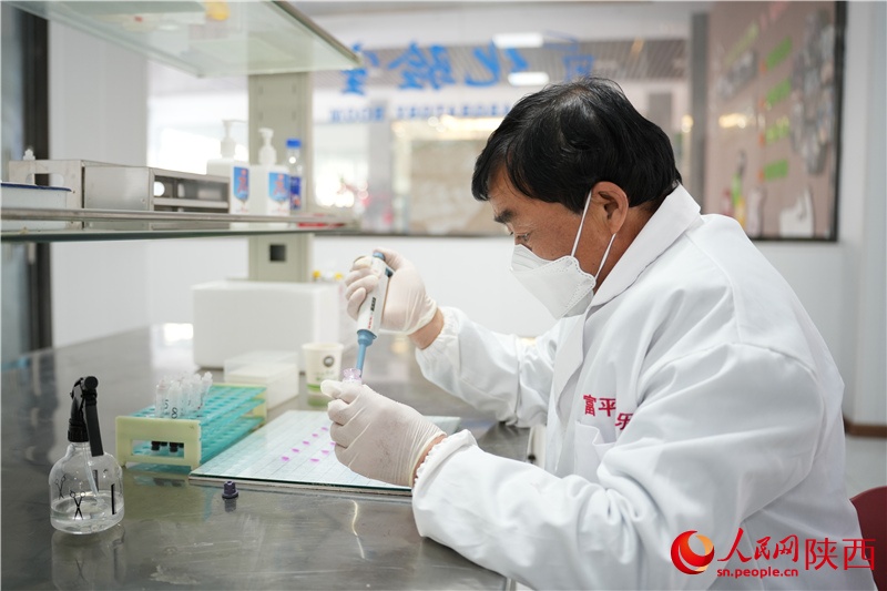 羊儿“咩咩咩”，钱包“鼓鼓鼓”