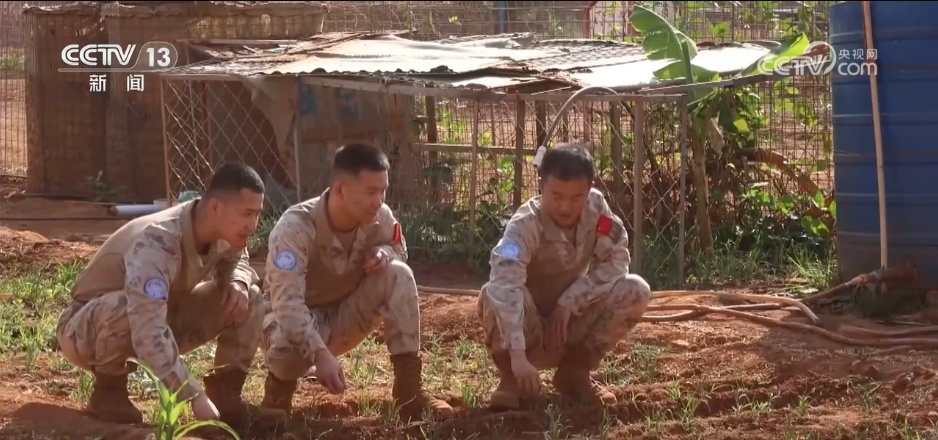 多彩军营新春年味浓 各地部队开展丰富活动欢庆佳节