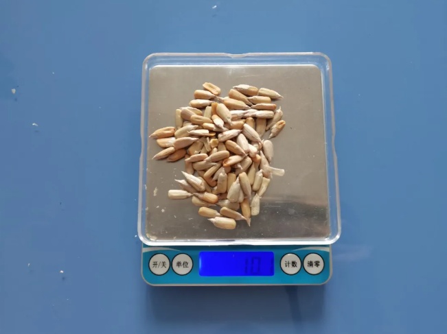 怎样吃瓜子更健康？吃到这种瓜子立马吐出来