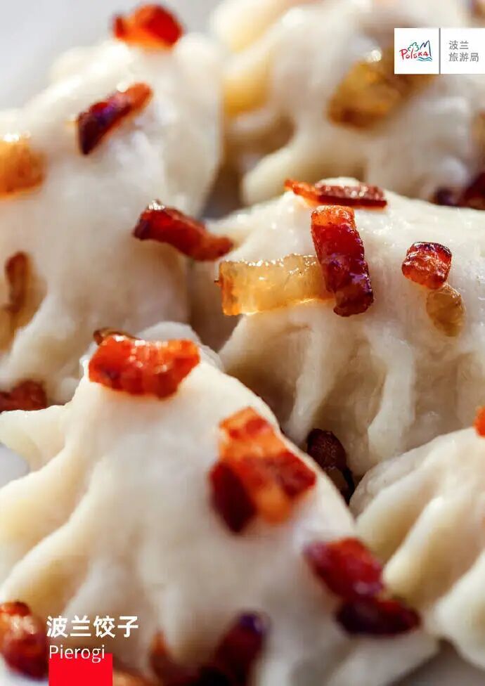 “非官方吉祥物”走红冬奥会，这只波兰饺子是什么来头?