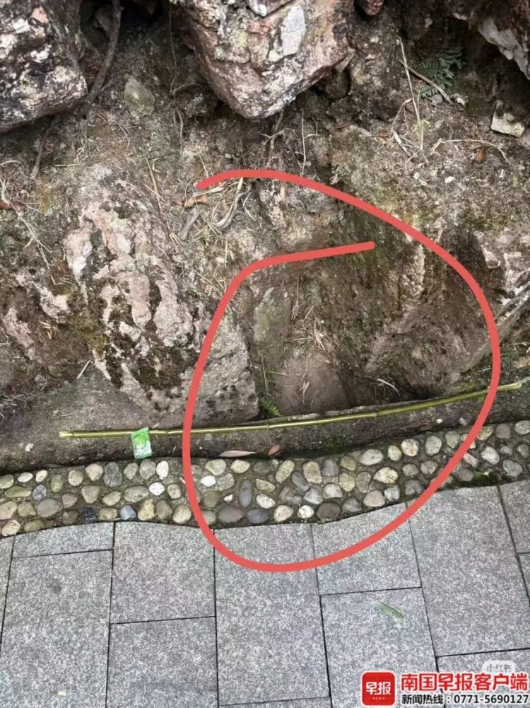 10岁男孩在广西贵港北帝山景区游玩时突发坠崖,部门回应:已督促景区整改 10岁男孩在广西贵港北帝山景区游玩时突发坠崖,部门回应:已督促景区整改