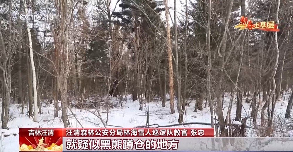 年轻民警化身“林海雪人” 在把面包变“雪糕”的极寒中守护生态安全