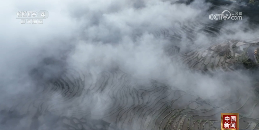 破40亿！小小电影票串起消费链