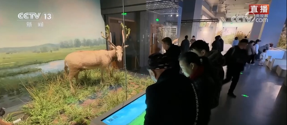 传统节日“邂逅”特色展览 博物馆里体验别样马年新春