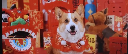 “00后”办年货：给老一辈来点小小的震撼