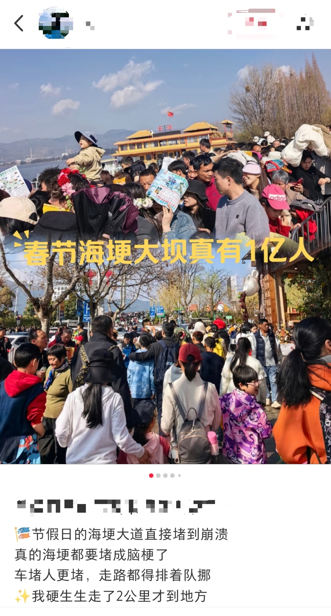 “游客比海鸥还多”，两公里的路要走40多分钟，管理方：建议乘坐公共交通前往