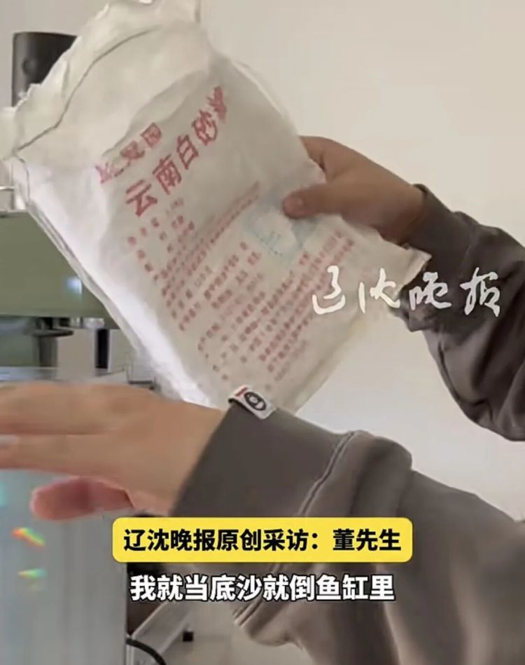 男子拿错快递，把白糖当底沙倒进鱼缸！网友：鱼要崩溃了……