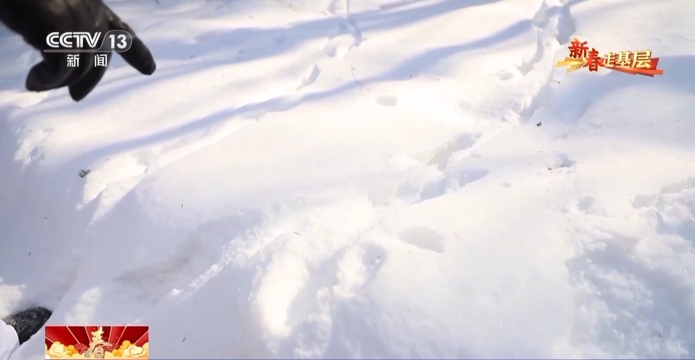 年轻民警化身“林海雪人” 在把面包变“雪糕”的极寒中守护生态安全