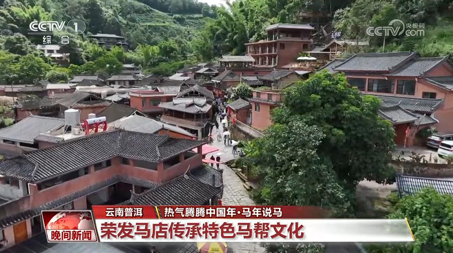 马年说马｜从马背到铁轨 茶马古道迎新生