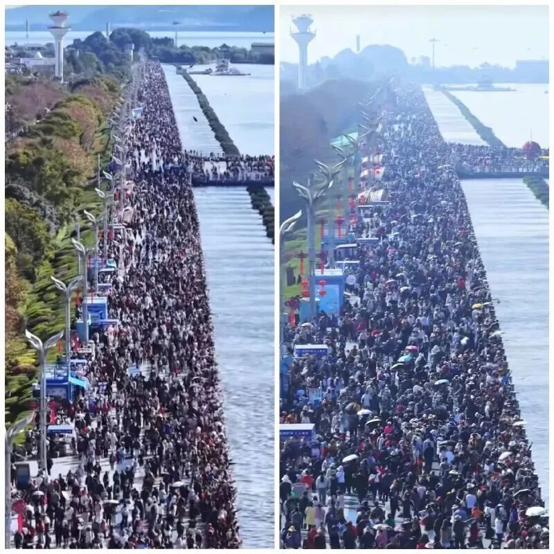 “游客比海鸥还多”，两公里的路要走40多分钟，管理方：建议乘坐公共交通前往