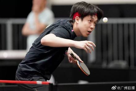 新加坡大满贯男单签表揭晓，王楚钦林诗栋同处上半区