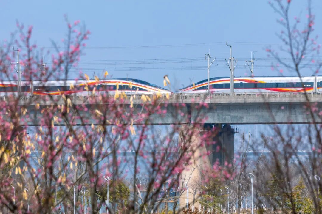 铁路12306已累计发售春运火车票超3.1亿张 这些方向余票充足