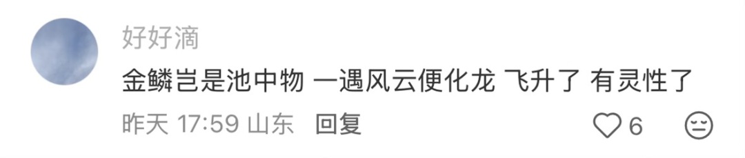 全网都在帮济南找“找鳌鱼”！意外被大风吹走，网友：一遇风云便化龙