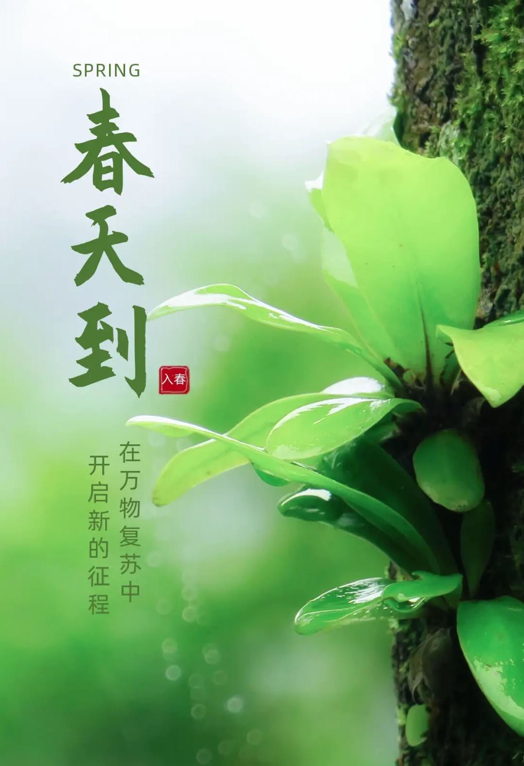 浙江已有5地入春,部分整整提早半个月!气温冲击27℃+ 浙江已有5地入春,部分整整提早半个月!气温冲击27℃+