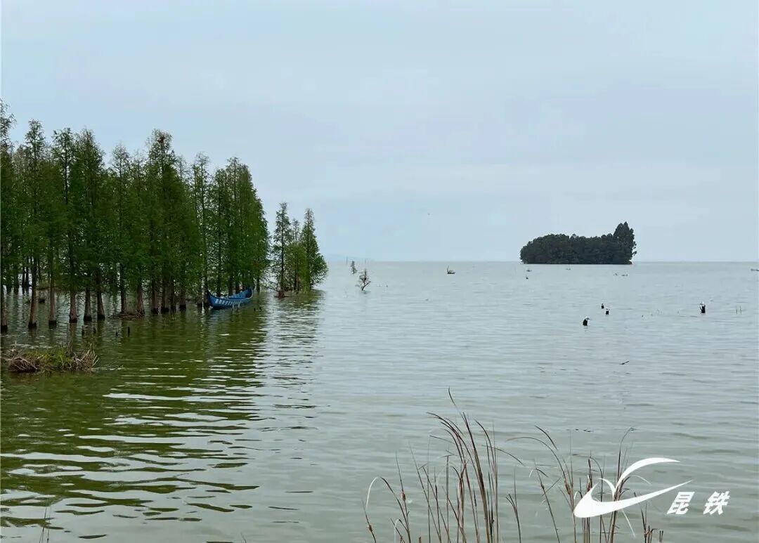 到昆明最快44分钟！这个火车站正式办理客运业务