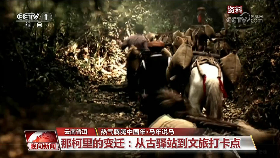 马年说马｜从马背到铁轨 茶马古道迎新生
