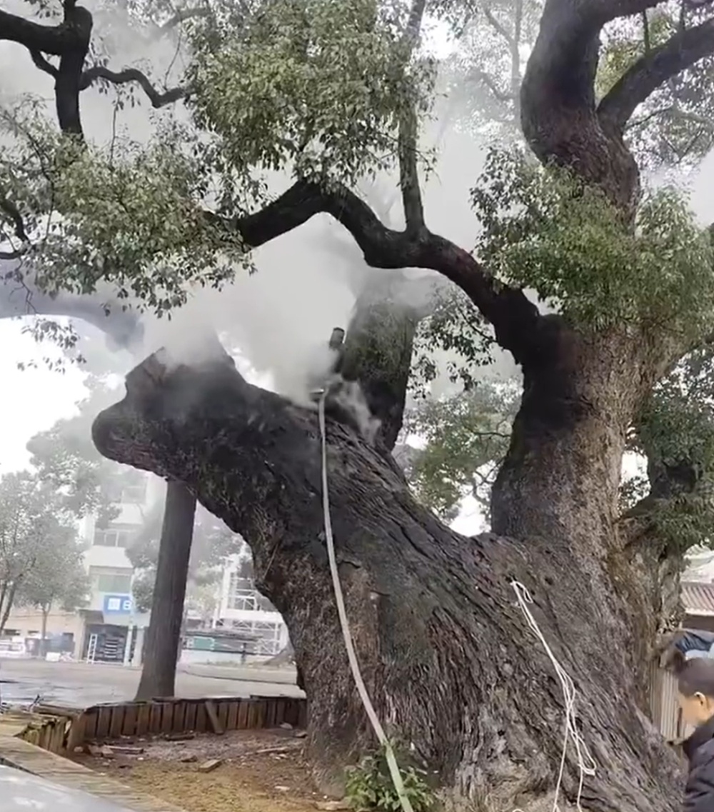 持续燃烧7小时！只因俩小孩随手扔爆竹……