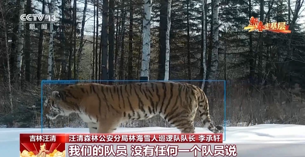 年轻民警化身“林海雪人” 在把面包变“雪糕”的极寒中守护生态安全