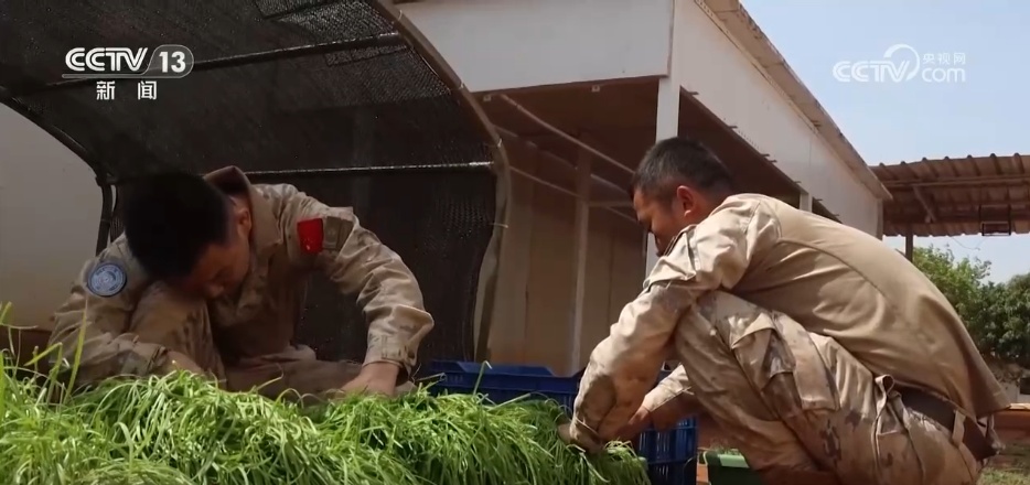 多彩军营新春年味浓 各地部队开展丰富活动欢庆佳节