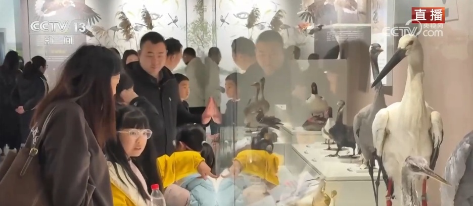 传统节日“邂逅”特色展览 博物馆里体验别样马年新春