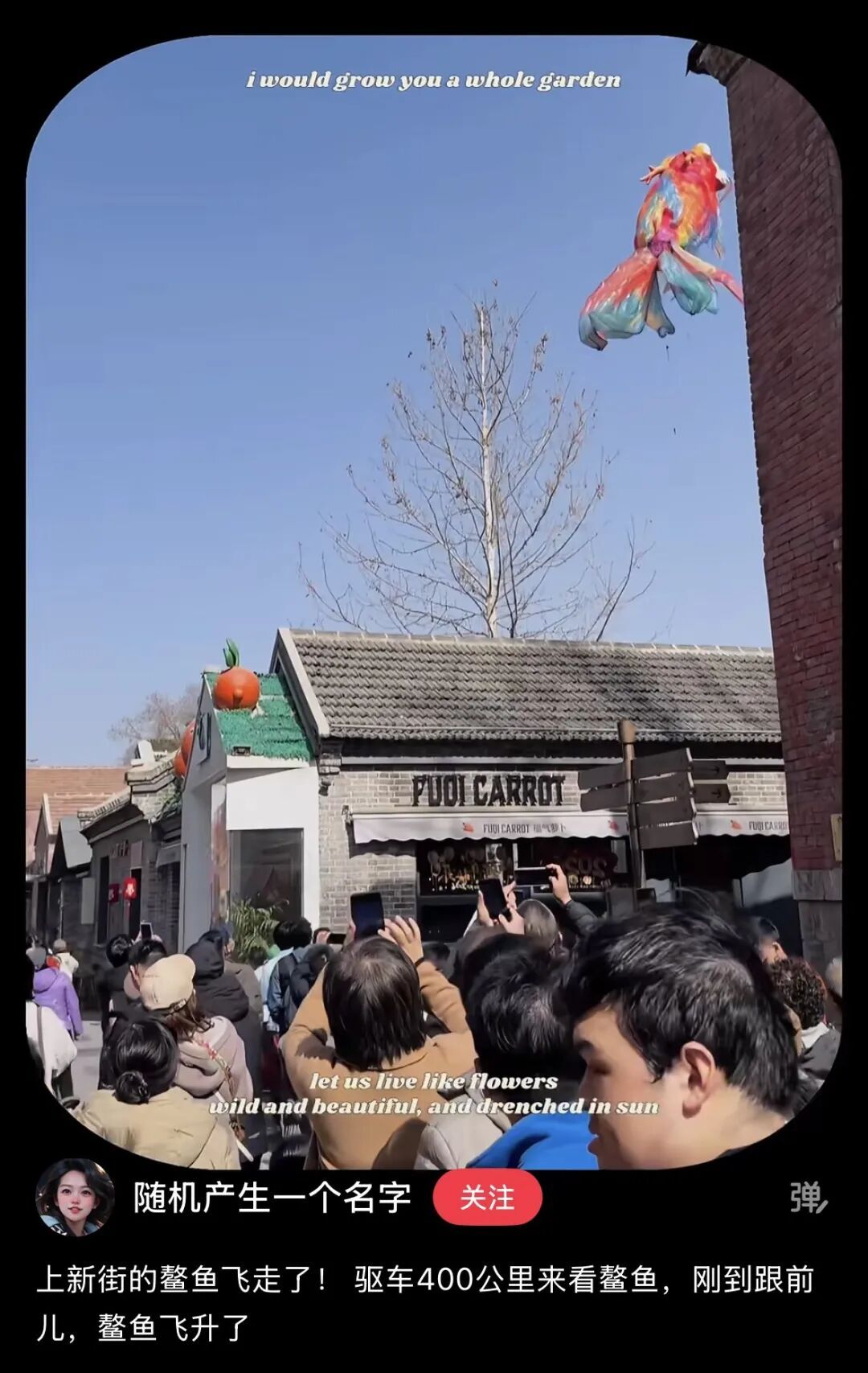 意外被大风吹走，全网都在帮济南“找鳌鱼”！