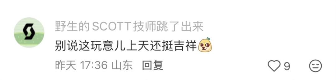 全网都在帮济南找“找鳌鱼”！意外被大风吹走，网友：一遇风云便化龙