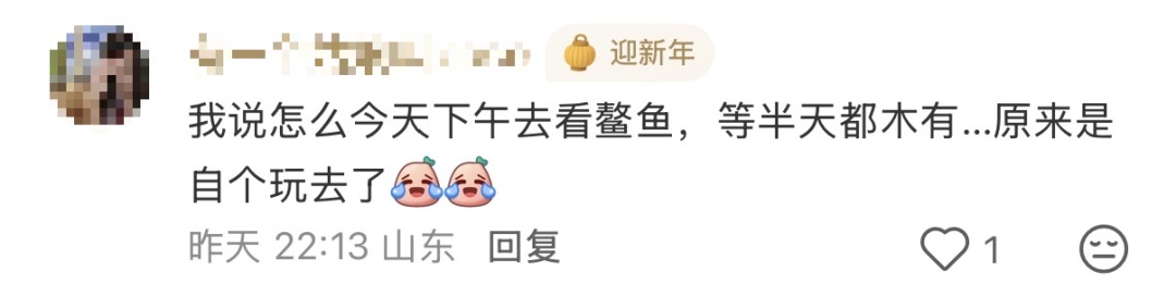 意外被大风吹走后，全网都在帮忙“找鳌鱼”！