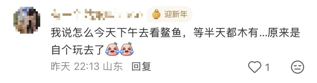 悬赏10000元！全网都在找！巨型鳌鱼被大风吹走……