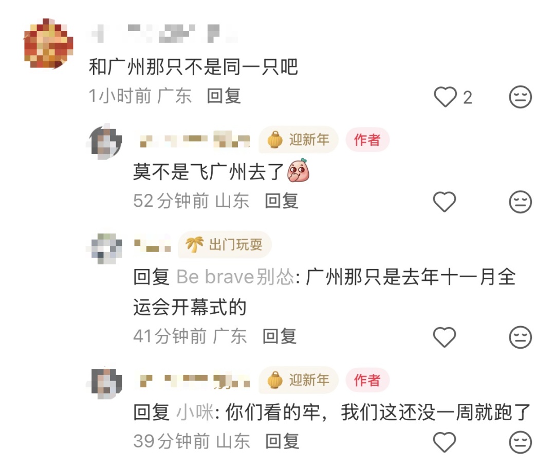 巨型空飘鳌鱼因大风意外“飞走”，全网都在帮济南“找”