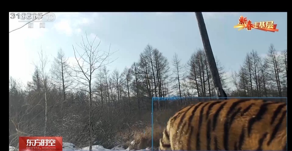 年轻民警化身“林海雪人” 在把面包变“雪糕”的极寒中守护生态安全