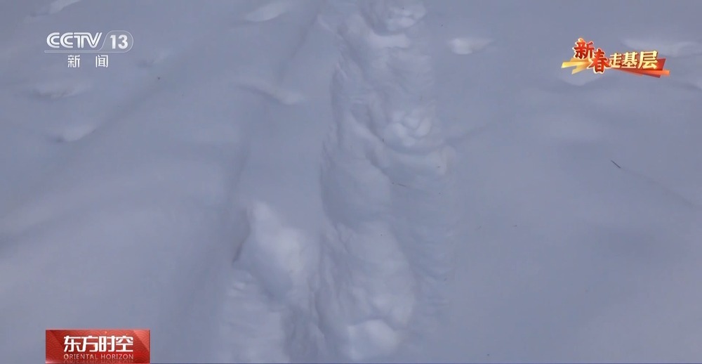 年轻民警化身“林海雪人” 在把面包变“雪糕”的极寒中守护生态安全