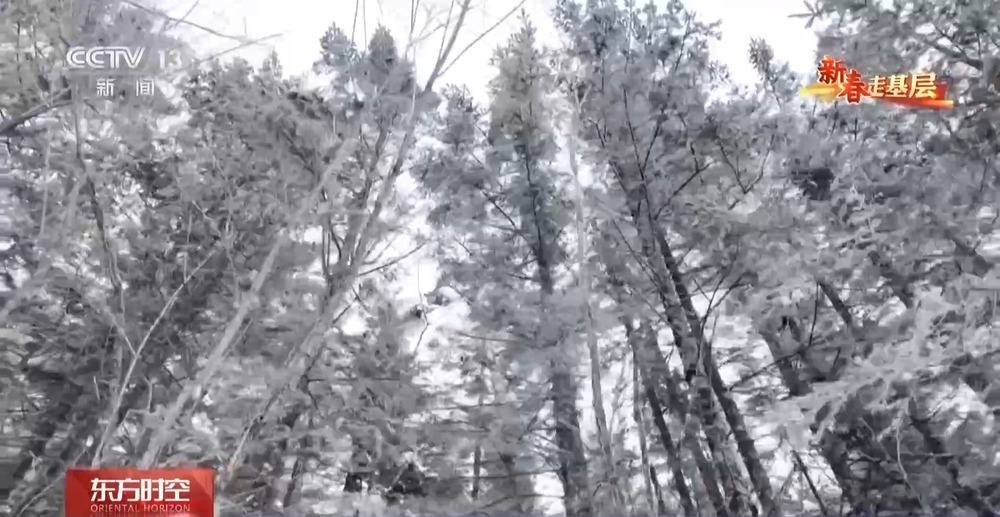 年轻民警化身“林海雪人” 在把面包变“雪糕”的极寒中守护生态安全