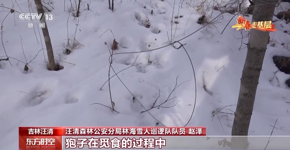 年轻民警化身“林海雪人” 在把面包变“雪糕”的极寒中守护生态安全